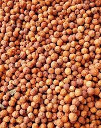 Yemeni Doum دوم يمني بلدي